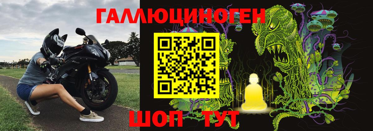 Псилоцибиновые грибы Psilocybine cubensis Ейск